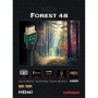 Кабель HDMI 2.1 AudioQuest Forest 48 (4K/8K/10K, Ultra HD) (1,0 м) - 3
