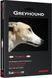 Кабель сабвуферний AUDIOQUEST GREYHOUND 2.0m 992 фото 2