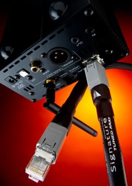 Кабель CHORD Signature Digital Super ARAY Streaming 1m 1013 фото