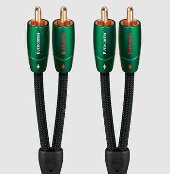 Кабель межблочный AUDIOQUEST EVERGREEN RCA > RCA 0.6m 972 фото