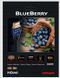 Кабель HDMI 2.1 AudioQuest BlueBerry 18G (4K/8K, Ultra HD) (0,6 м) 3702 фото 2