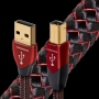 Кабель USB AudioQuest Cinnamon, USB (A-B) 0,75 м. - 1